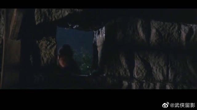 经观头条｜花粉围城：一座北京大院里的过敏故事