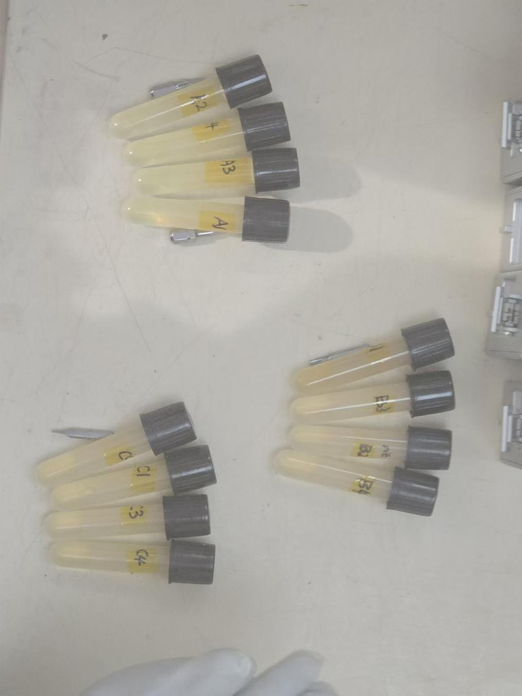 中国空间站第八批科学实验样品顺利返回