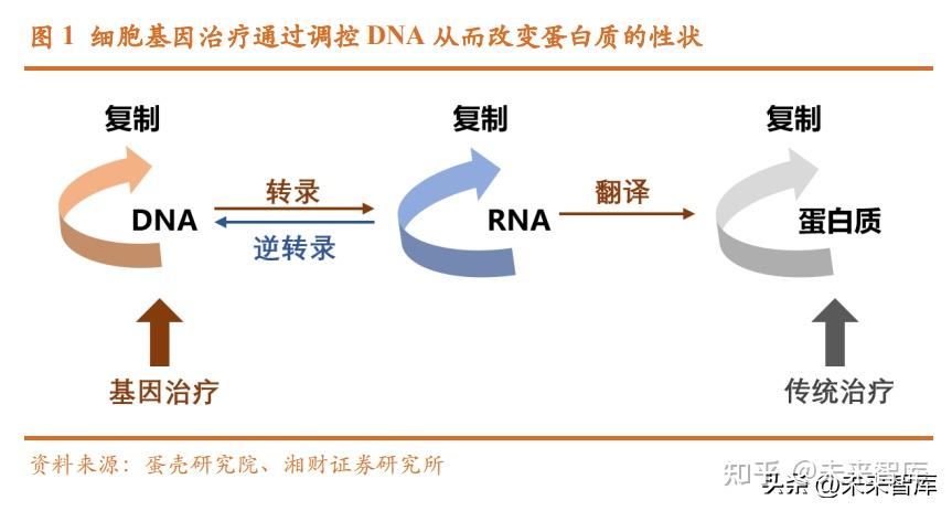 爱尔眼科扣非净利首次下滑 业内人士：行业未来两年难改观
