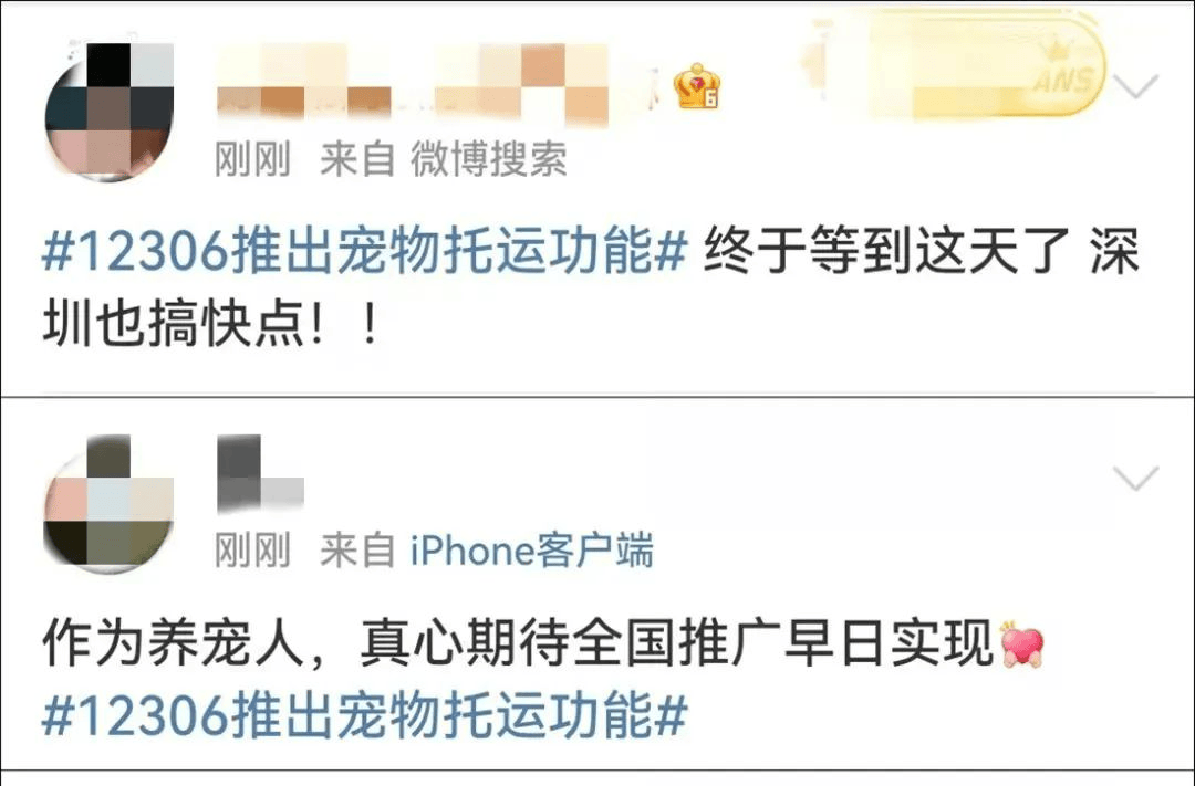 “五一”假期，宠物也要出行！12万只“毛孩子”，将搭上顺风车！