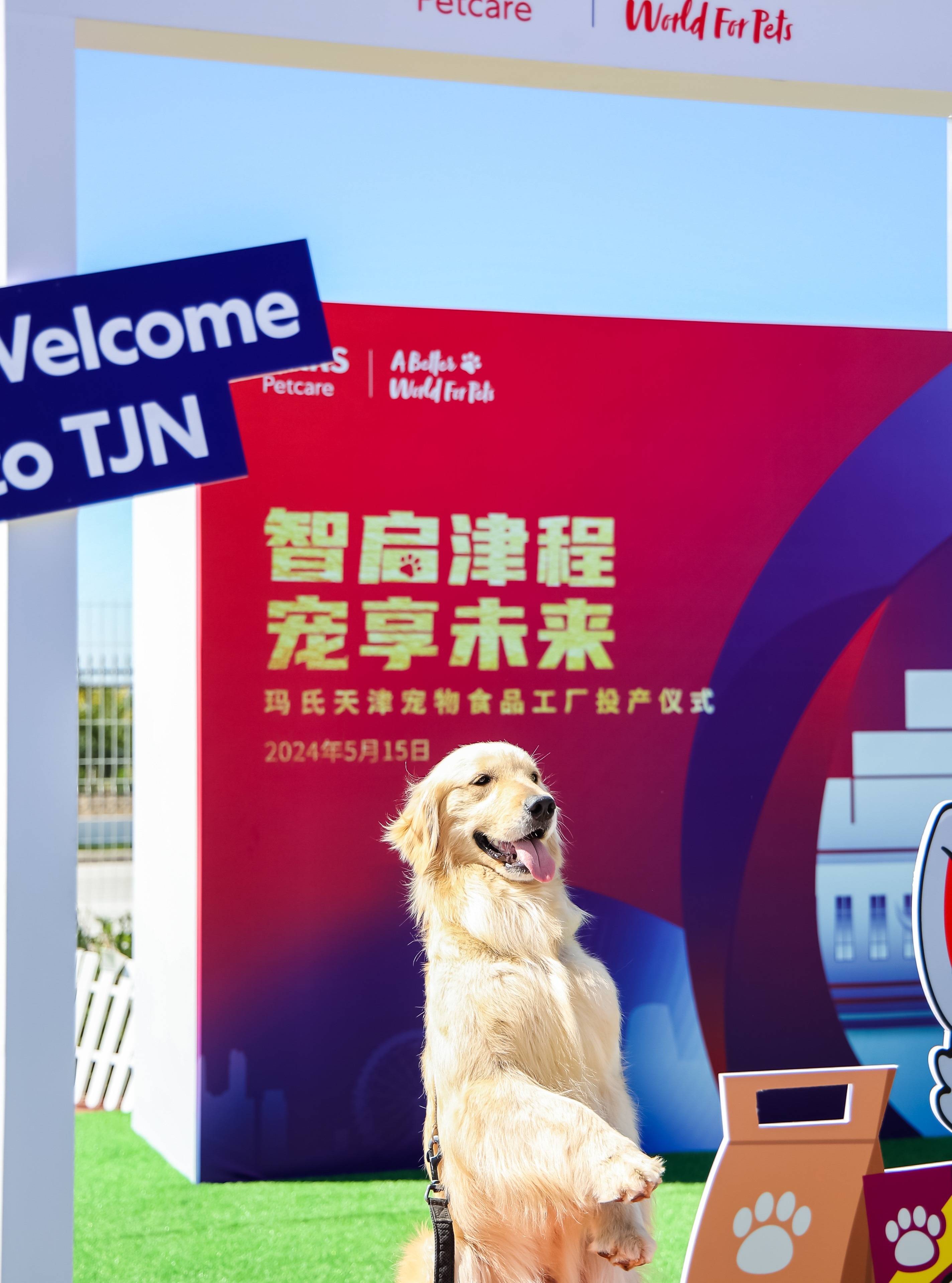 2900亿巨头突发！拟募资近50亿元，加码投资大模型芯片平台！