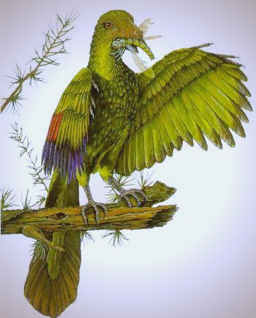 新发现的始祖鸟标本提供恐龙向鸟类演化的关键证据