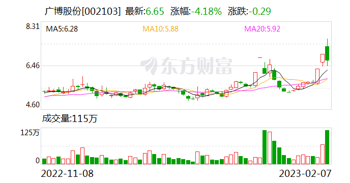 广博股份6月6日龙虎榜数据