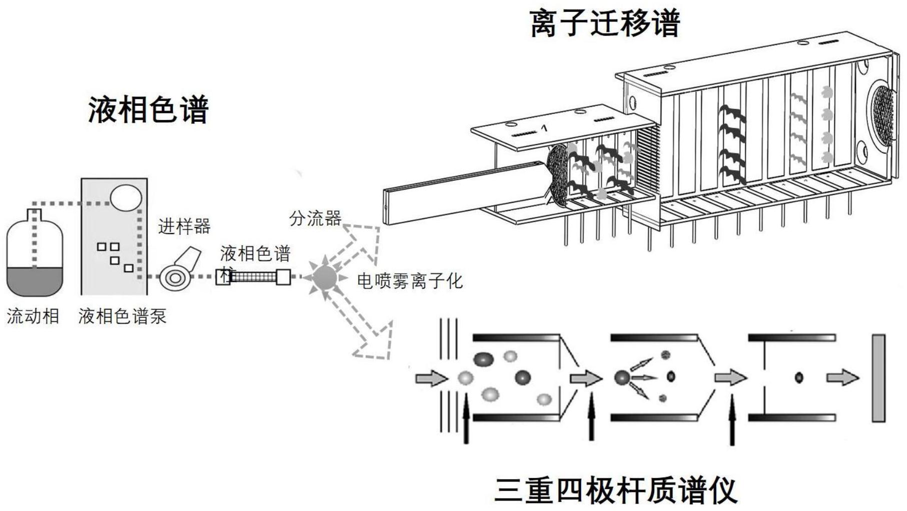 XD寿仙谷获得发明专利授权:“一种灵芝孢子全成分分离及利用的方法及应用”