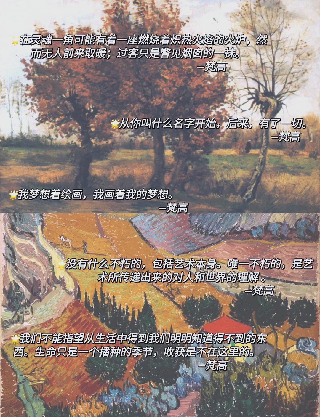 《至爱梵高?星空之谜》:孤独与生命狂欢的奇幻世界