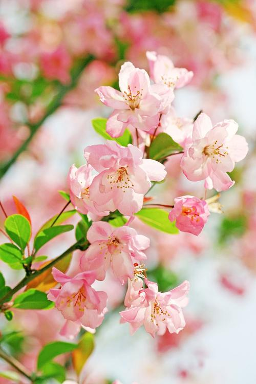 海天味业(03288.HK)拟全球发售2.63亿股 6月11日起招股