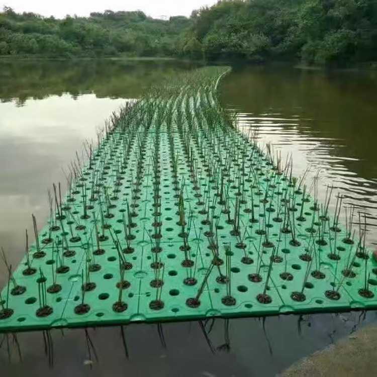 大北农获得发明专利授权:“一种利用水生植物处理养殖废水的方法”