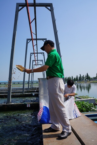 大北农获得发明专利授权:“一种利用水生植物处理养殖废水的方法”