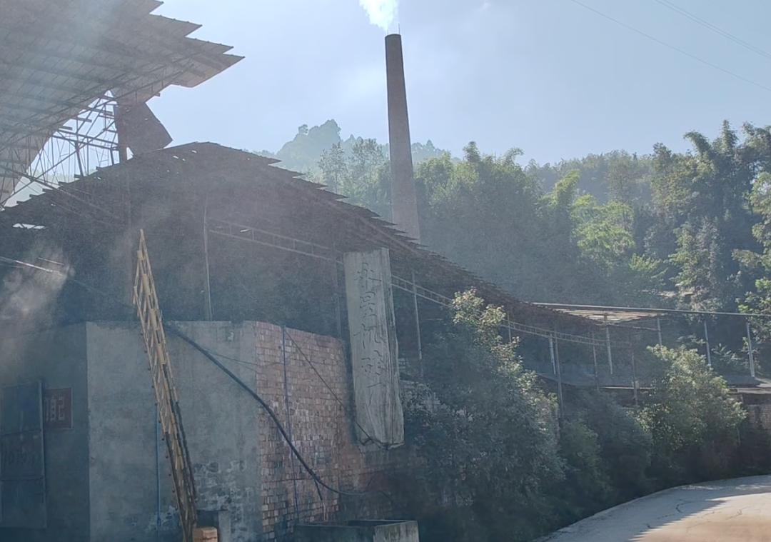 中央生态环境保护督察集中通报典型案例