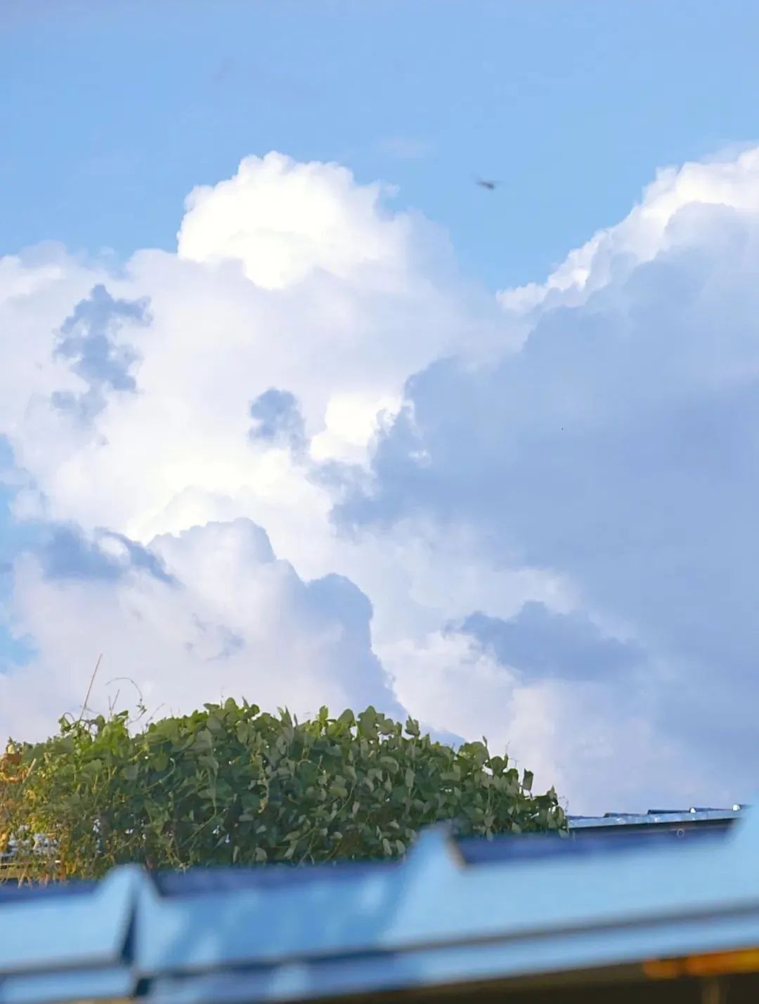 算法“破茧”非一日之功