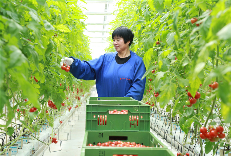 2025年中国农业建设行业：聚焦智慧农业与绿色转型，掘金千亿赛道_人保车险,人保护你周全