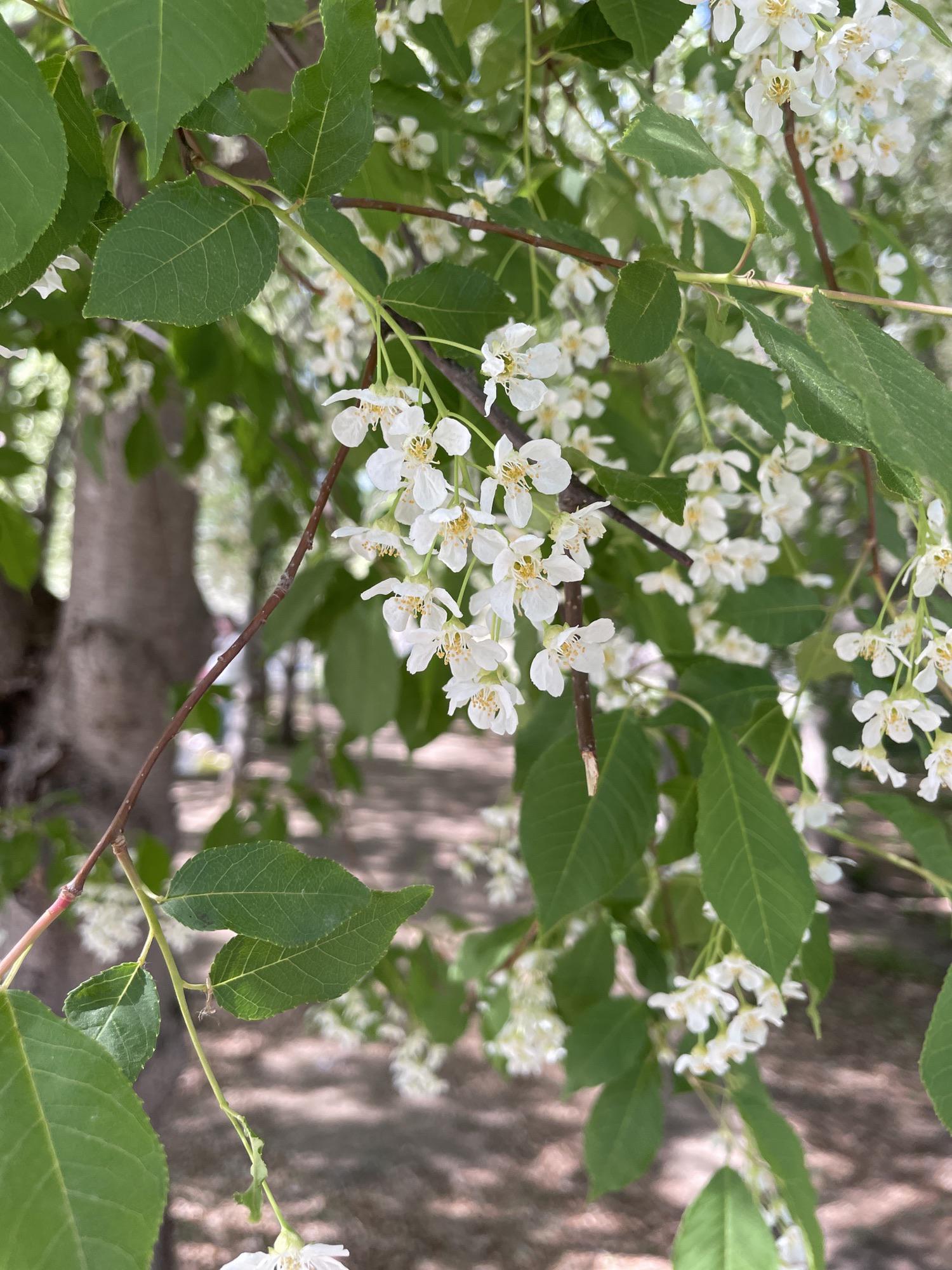 网红打卡地｜长春120个网红打卡地之长春世界雕塑园