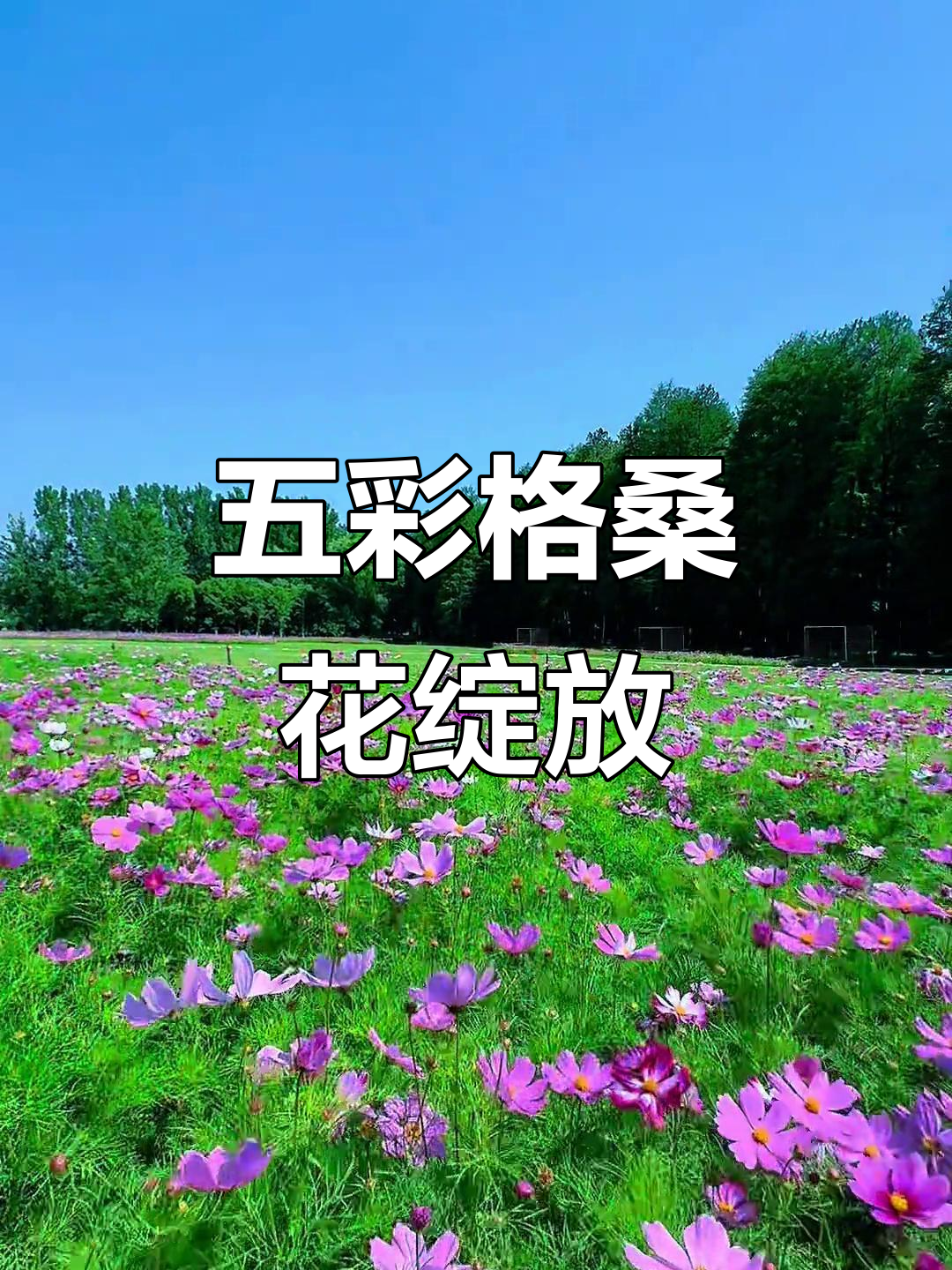 让“格桑花”灿烂绽放、花满高原 西藏自治区举办运用资本市场能力提升培训班