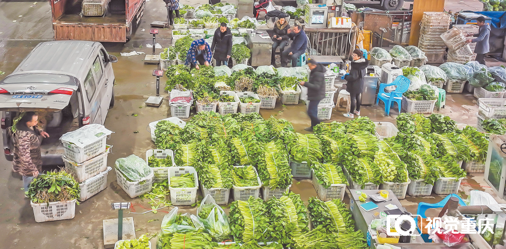 农业农村部：全国农产品批发市场猪肉平均价格为20.24元/公斤 与昨天持平