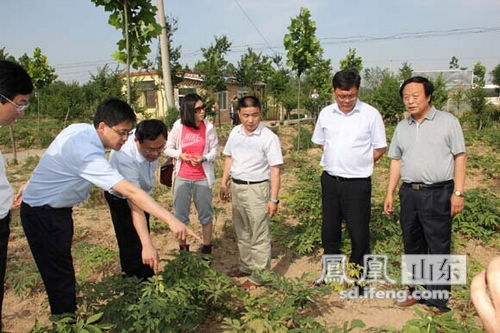泰山财产保险董事长安中涛任职资格获核准