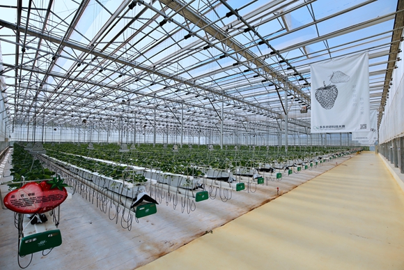 东湖高新：参与出资设立东高前沿二期基金