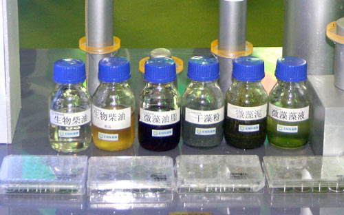 中国牵头制定的大型藻类水产品碳足迹国际标准正式发布