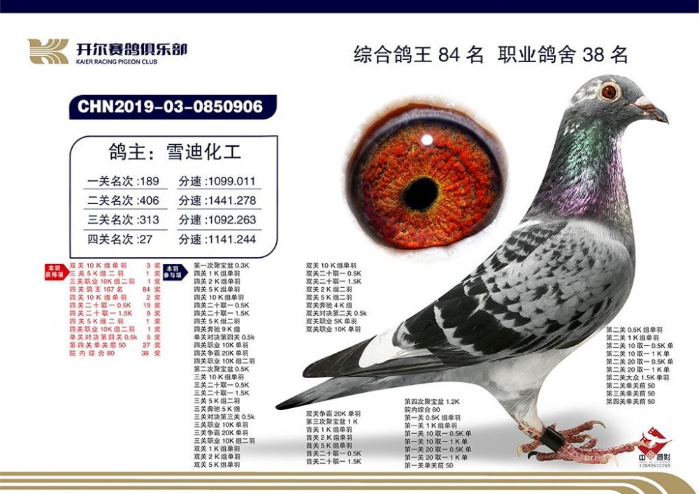 雪迪龙7月4日龙虎榜数据