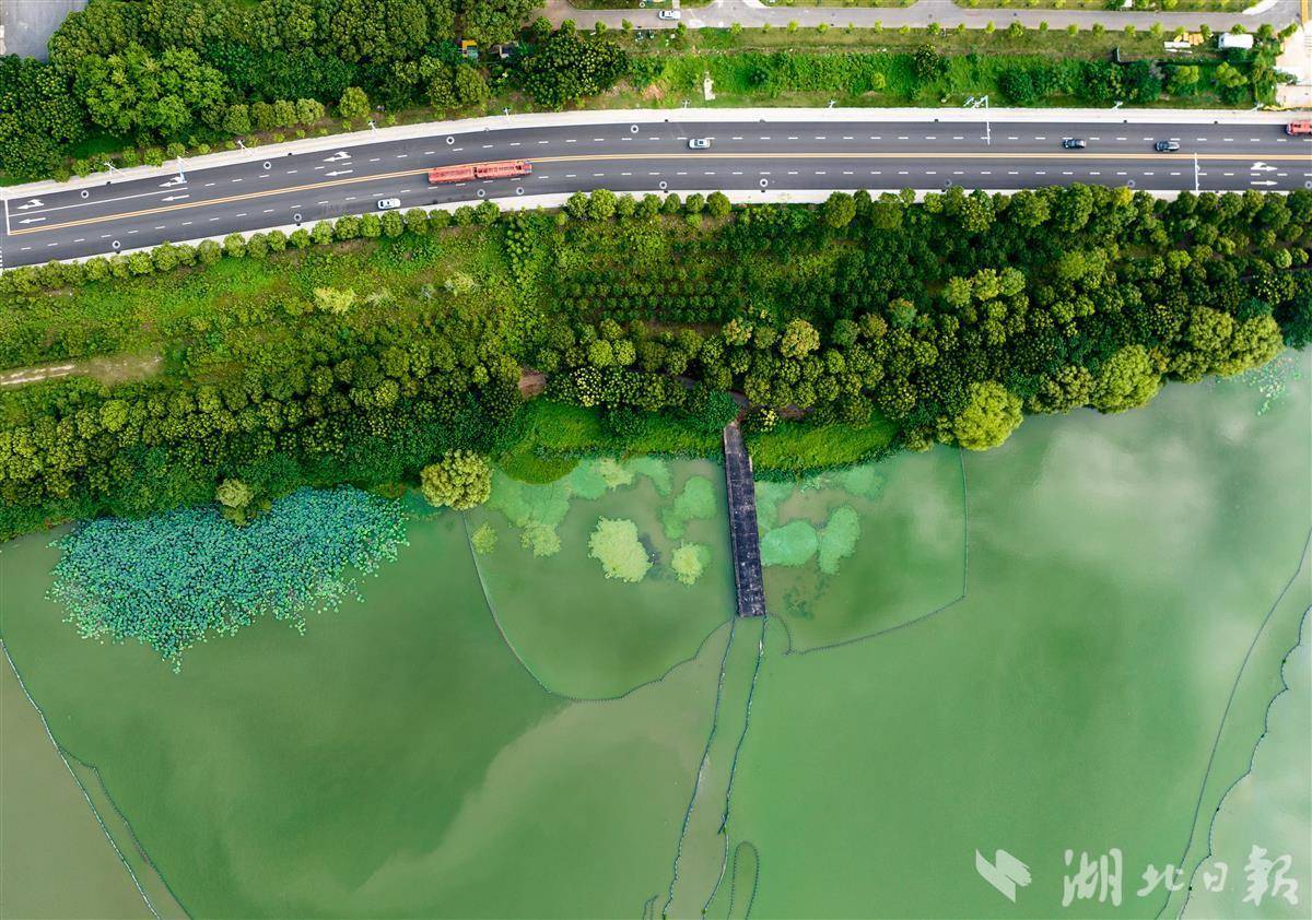 拥有“如意行”驾乘险，出行更顺畅！,人保有温度_2025年生物耗材行业发展前景预测及投资战略研究