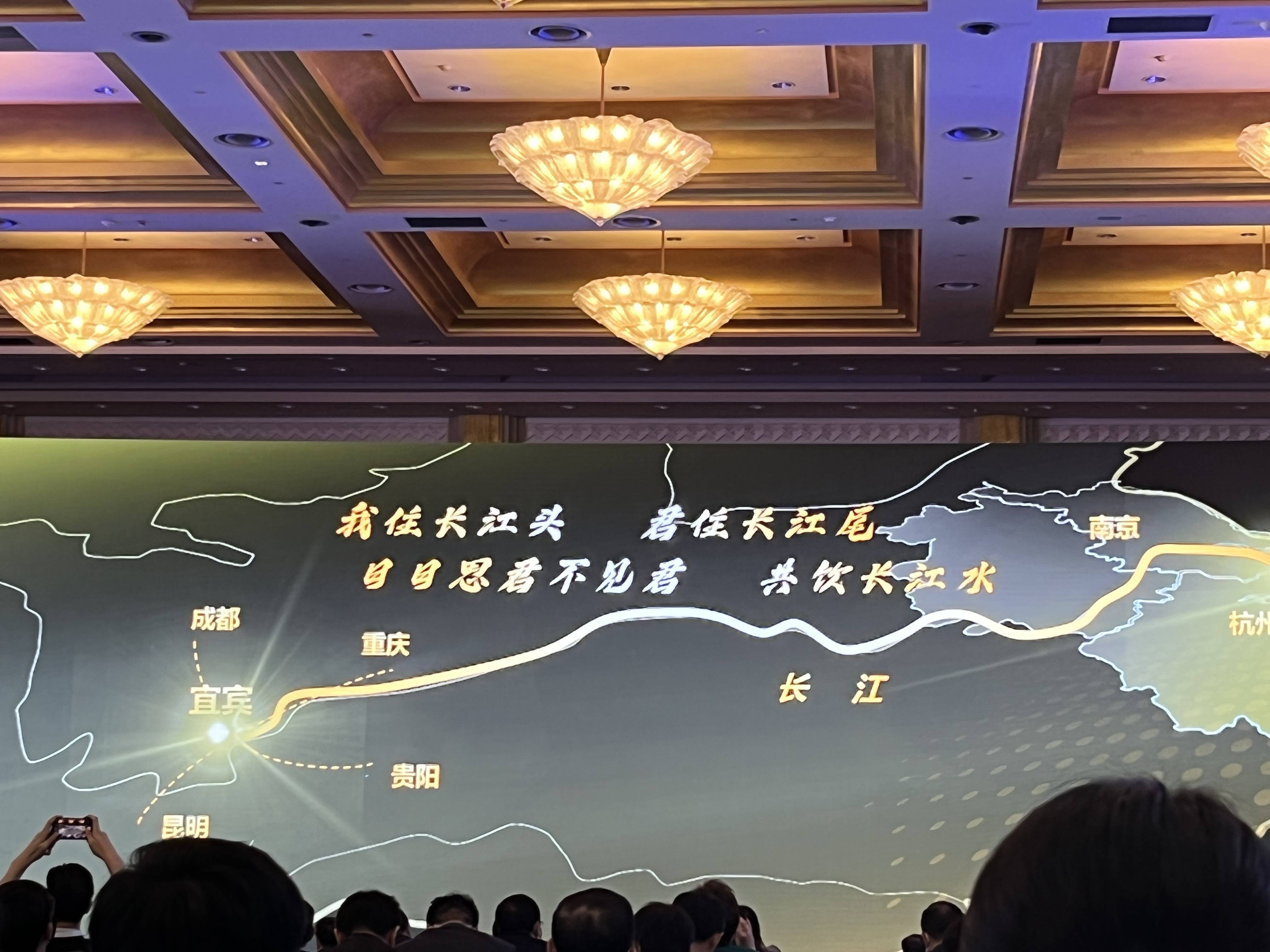 三条高铁“相遇”长江首城 宜宾高铁南片区打造城市新极核