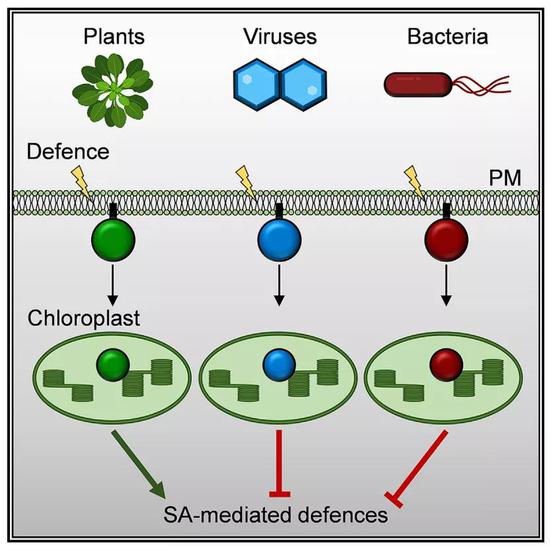 安科生物：签署独家代理重组人卵泡刺激素-CTP融合蛋白注射液协议