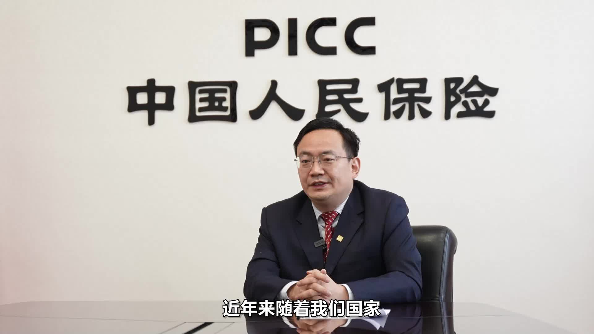 2025年中国板鞋行业：消费群体细分与市场潜力_保险有温度,人保财险 