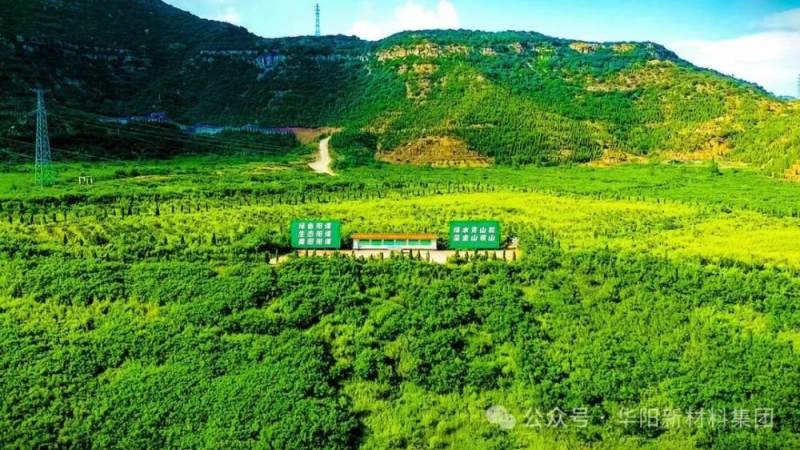 我国最大绿色氢氨项目正式投产 电力100%来自上游绿电