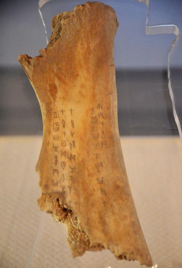 倾听尼山｜金光亿：只有实现文化上的包容，才能化解文明间冲突