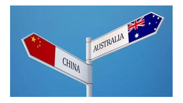 河豚家族获B轮融资3000万元，投资人看中供应链