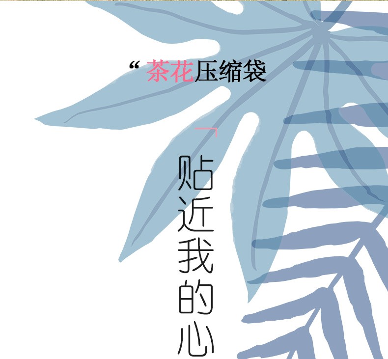 茶花股份获得实用新型专利授权:“一种抗撕裂真空压缩袋”
