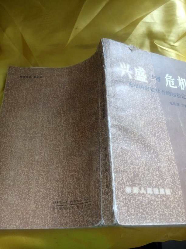 近代化的中国“弹性”――对弹性社会与超稳定结构的一种解读