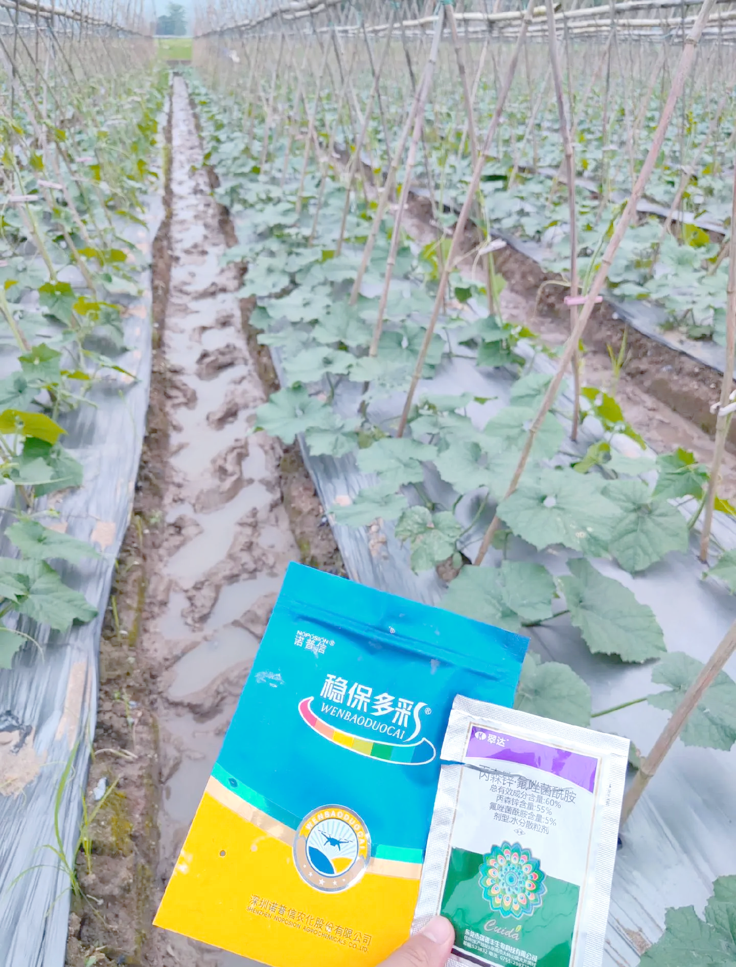 农业农村部召开座谈会强调持续抓好产能调控 多措并举降本增效推进生猪产业稳定健康发展