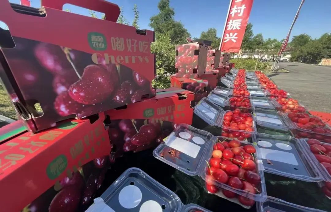 助力老年游客乐享“诗和远方” 银发旅游列车开出新体验