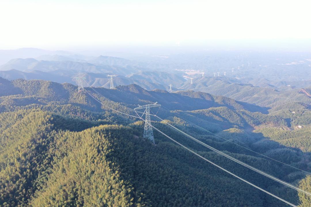金杯电工：公司已成立“雅下工程项目组”