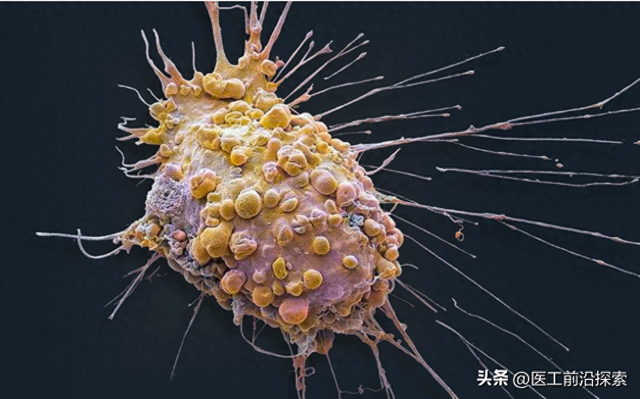 AI虚拟细胞开启生物研究新范式