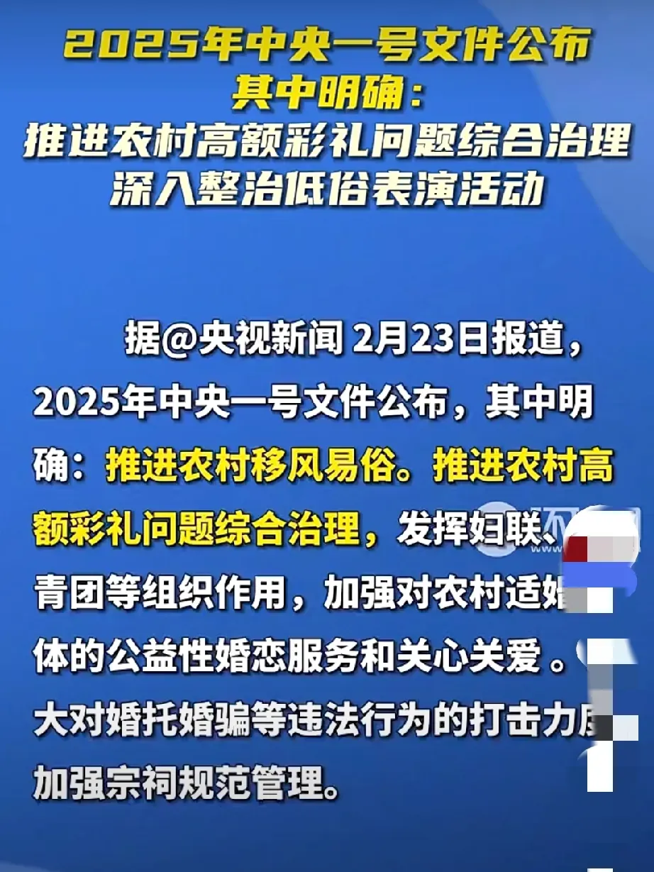 中国乡村振兴战略：2025从“输血”到“造血”的质变_人保财险政银保 ,人保护你周全