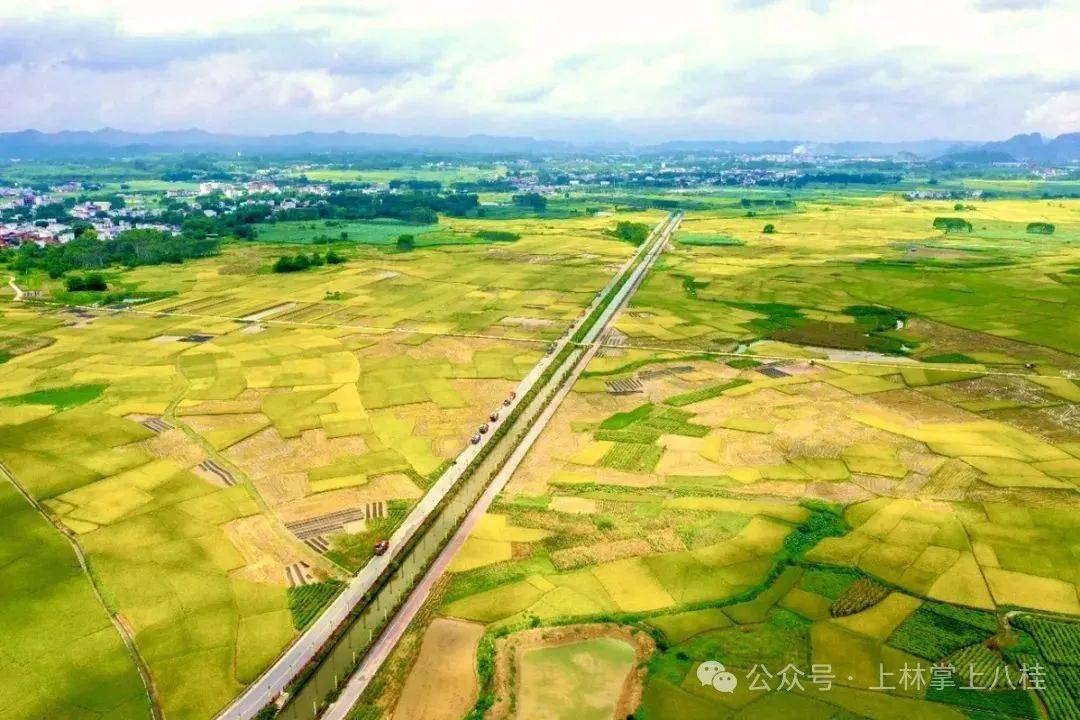 2025年种植业:藏粮于地、藏粮于技_拥有“如意行”驾乘险,出行更顺畅!,人保护你周全