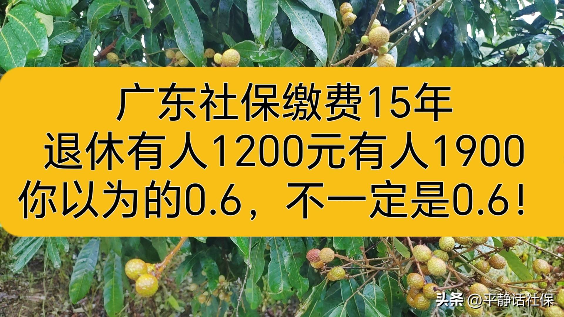 私募产品备案热情高涨 7月超1200只产品完成备案