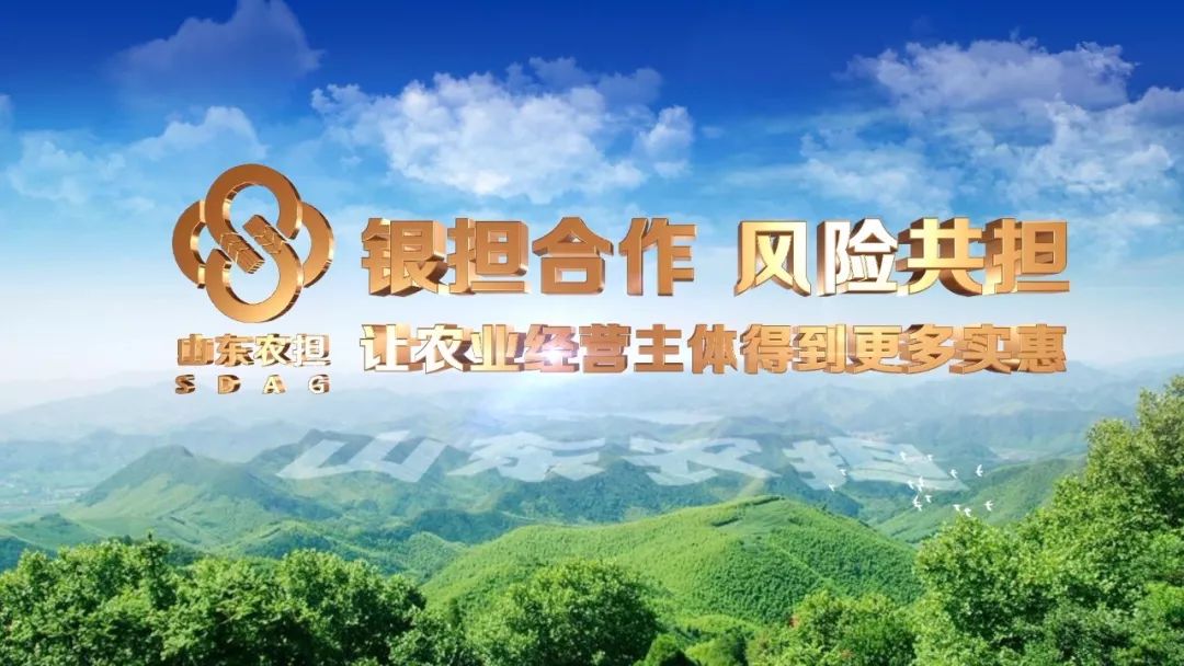 华谊兄弟为子公司提供1,610万元质押担保 累计担保总额达7亿元