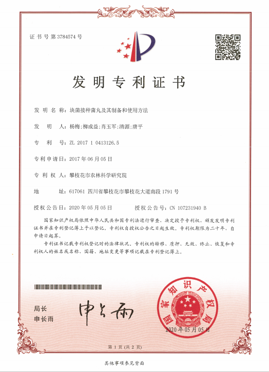 长安汽车获得发明专利授权:“应用程序安装包文件配置、安装方法、设备、介质及产品”