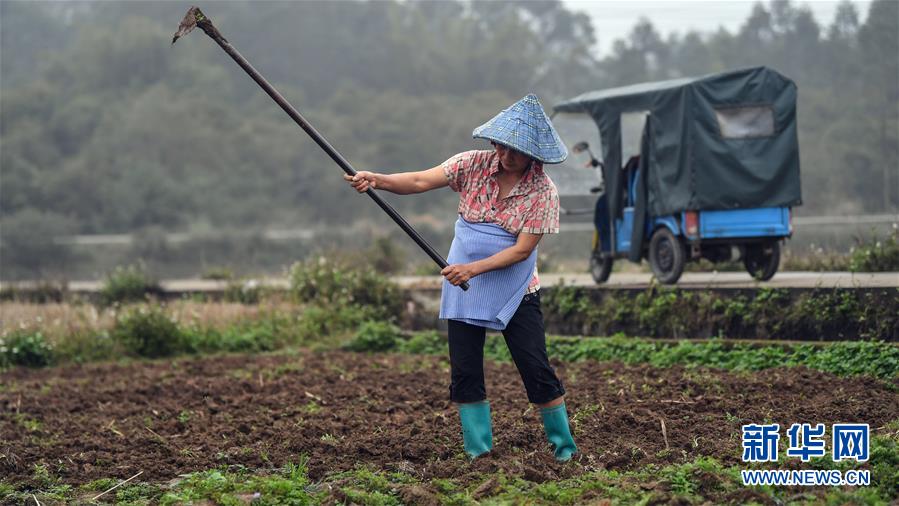 专访黄花春：广西男女升学率差距为何越拉越大