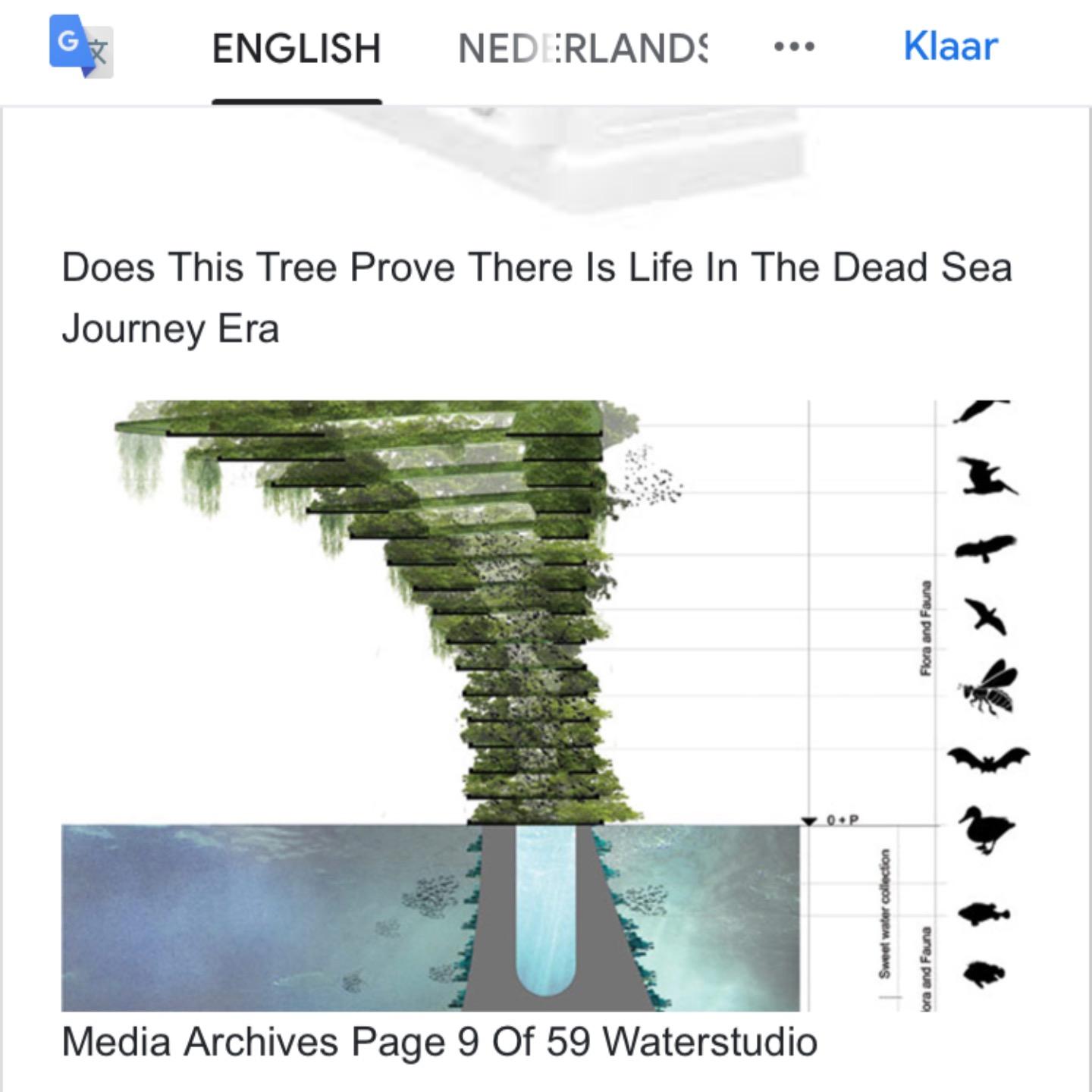 帕特・斯泰尔：幻境探秘――海市蜃楼