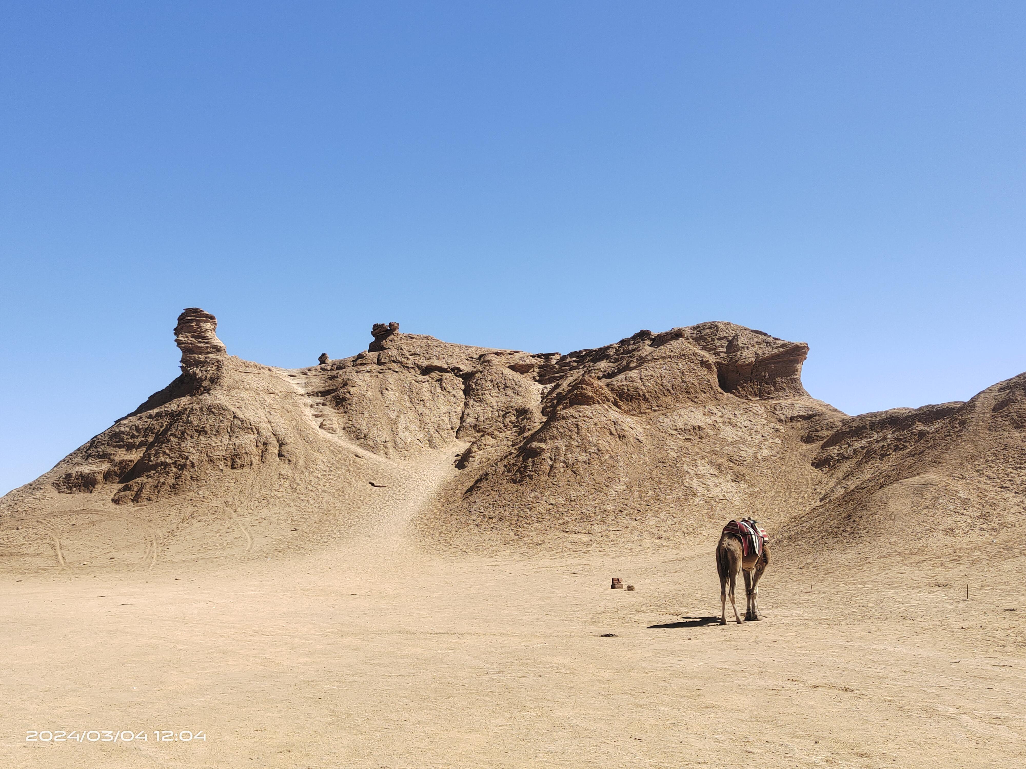 帕特・斯泰尔：幻境探秘――海市蜃楼