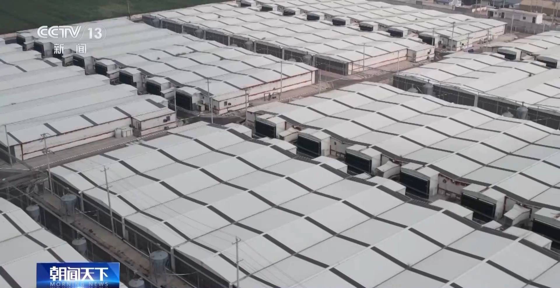 农业农村部：生猪产能偏高 引导调减百万头能繁母猪