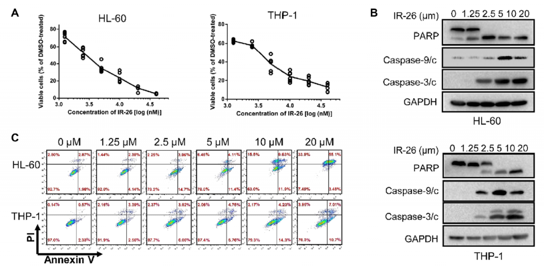 云南白药获得发明专利授权：“一种靶向Nectin-4的环肽配体与核素标记化合物及应用”