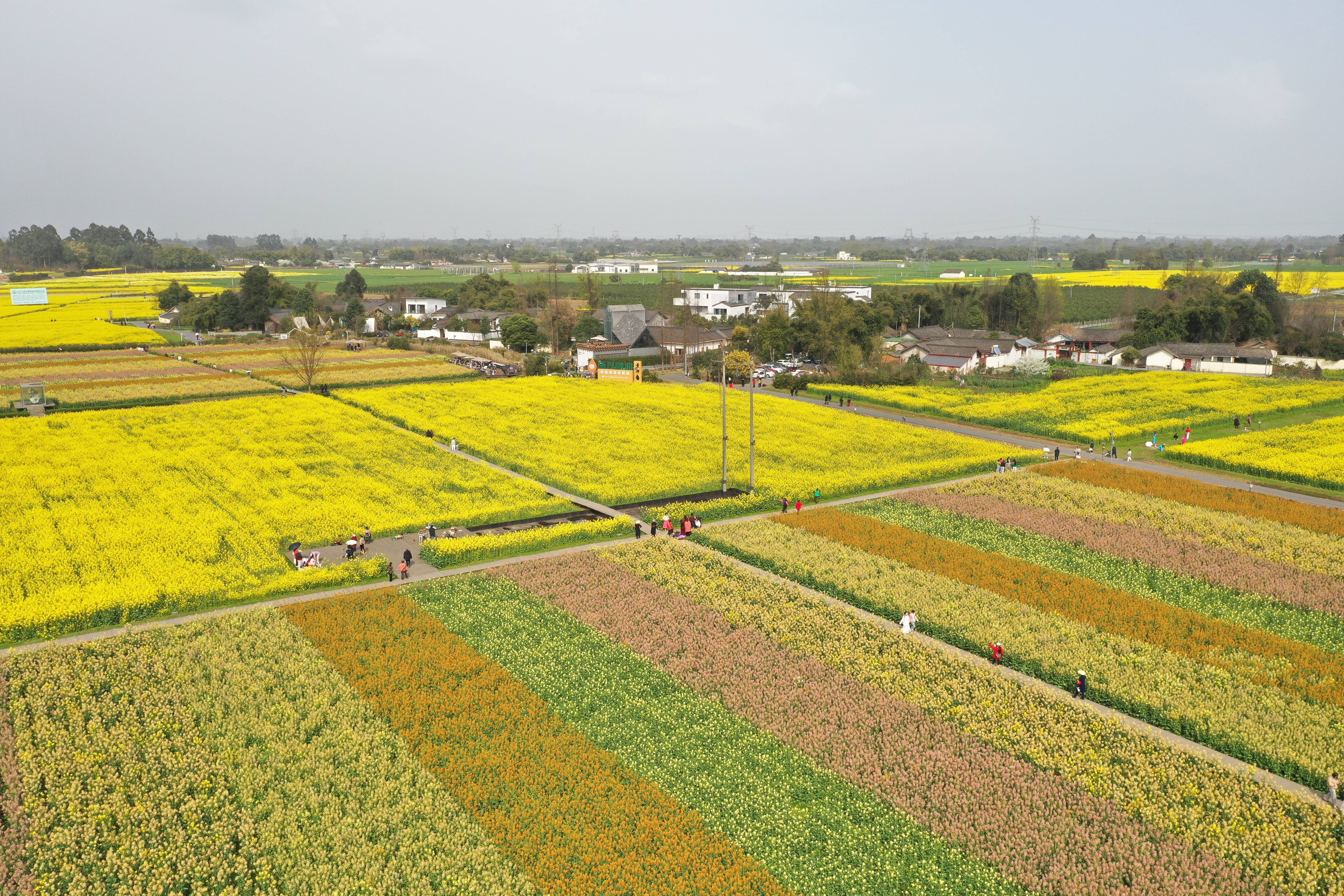 现代科技农业设施激活农业发展“新引擎” 特色产业展现蓬勃发展图景