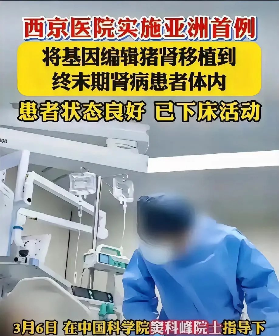 世界首例！中国团队将基因编辑猪肺成功移植人体