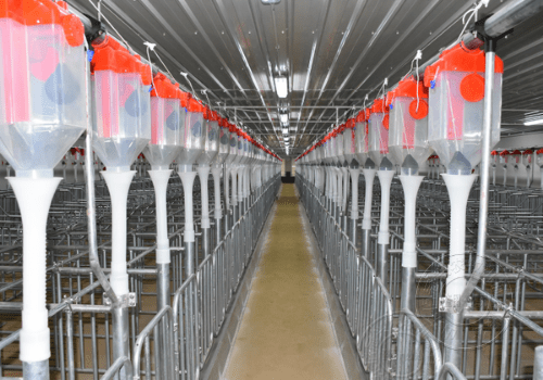 唐人神获得实用新型专利授权：“一种可加液的饲料下料器”