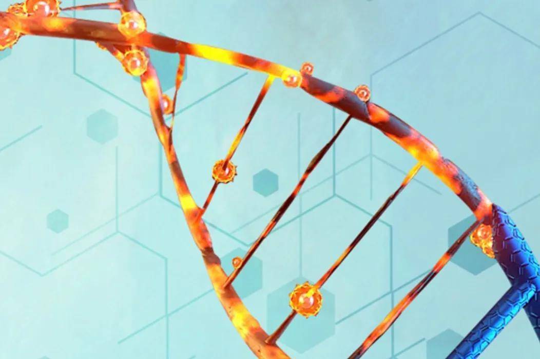 神州细胞(688520.SH)上半年净亏损3377.11万元