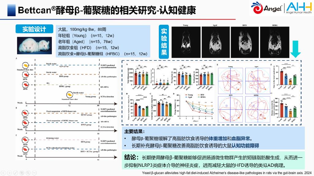 2025年燕麦β-葡聚糖行业：连接农业生产与公共健康纽带_人保车险   品牌优势——快速了解燃油汽车车险,人保护你周全